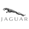 st-gallen/flawil/jaguar-schluessel-verloren-alterschwil